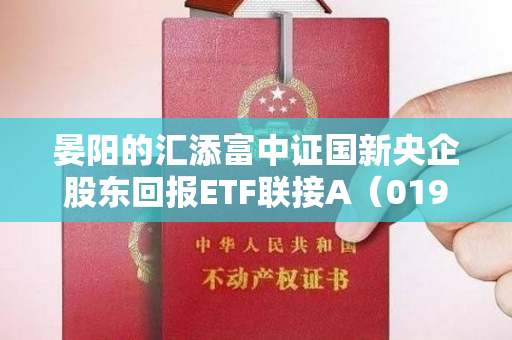 晏阳的汇添富中证国新央企股东回报ETF联接A（019365）是否值得购买？