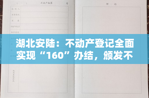 湖北安陆：不动产登记全面实现“160”办结，颁发不动产权证