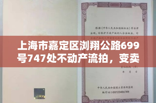 上海市嘉定区浏翔公路699号747处不动产流拍，变卖价2.94亿元