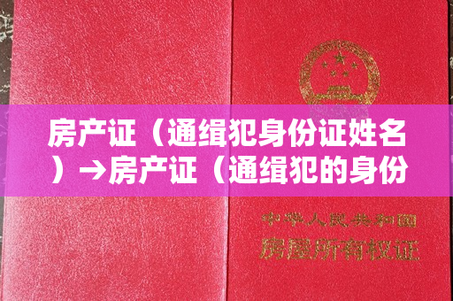 房产证（通缉犯身份证姓名）→房产证（通缉犯的身份证姓名）