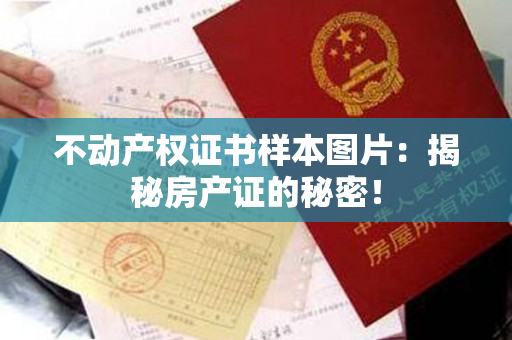 不动产权证书样本图片：揭秘房产证的秘密！
