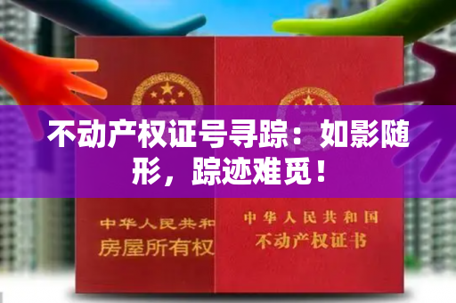 不动产权证号寻踪：如影随形，踪迹难觅！
