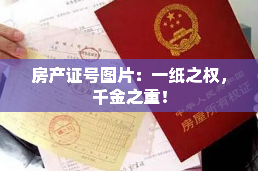 房产证号图片：一纸之权，千金之重！