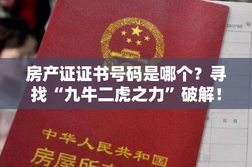 房产证证书号码是哪个？寻找“九牛二虎之力”破解！