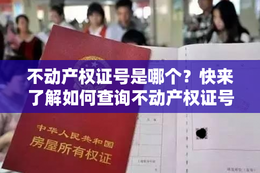 不动产权证号是哪个？快来了解如何查询不动产权证号！