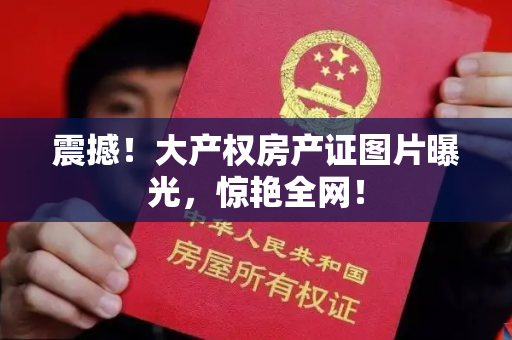 震撼！大产权房产证图片曝光，惊艳全网！