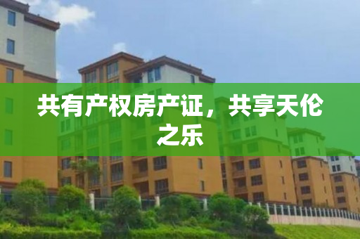共有产权房产证，共享天伦之乐