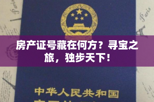 房产证号藏在何方？寻宝之旅，独步天下！