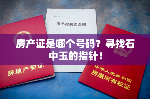 房产证是哪个号码？寻找石中玉的指针！