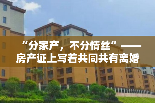 “分家产，不分情丝”——房产证上写着共同共有离婚怎么分