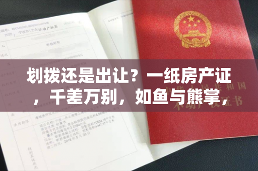 划拨还是出让？一纸房产证，千差万别，如鱼与熊掌，不可兼得！