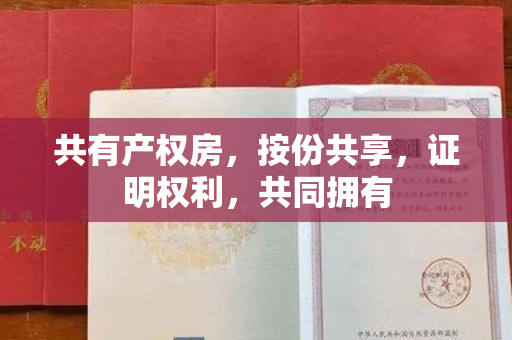 共有产权房，按份共享，证明权利，共同拥有