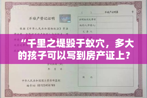 “千里之堤毁于蚁穴，多大的孩子可以写到房产证上？”——探讨未成年人在房产证上的权利归属