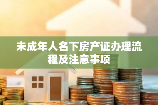 未成年人名下房产证办理流程及注意事项