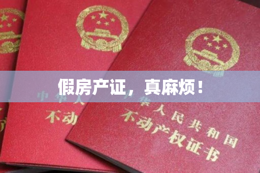 假房产证，真麻烦！