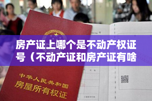 房产证上哪个是不动产权证号（不动产证和房产证有啥区别）