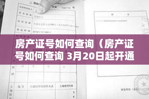 房产证号如何查询（房产证号如何查询 3月20日起开通北京市不动产登记信息互联网）