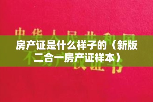 房产证是什么样子的（新版二合一房产证样本）