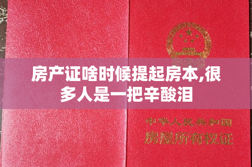 房产证啥时候提起房本,很多人是一把辛酸泪